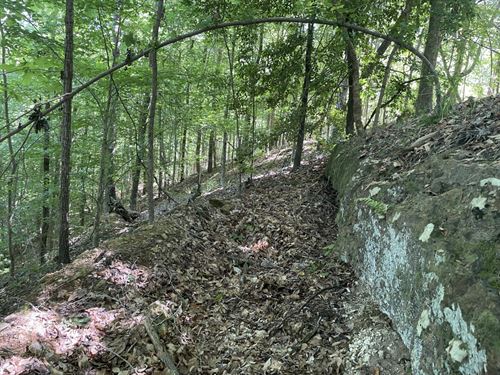 Pickett Creek Hunting Timber : Butler : Choctaw County : Alabama