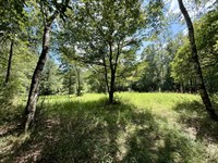 Walley Vinegar Bend Hunting : Vinegar Bend : Washington County : Alabama