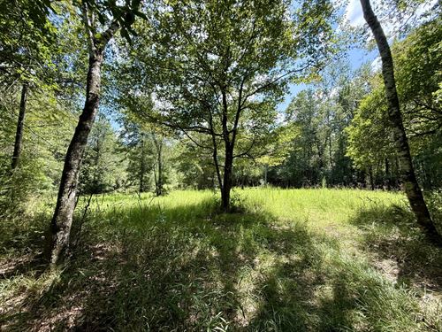 Walley Vinegar Bend Hunting : Vinegar Bend : Washington County : Alabama