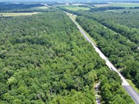 Loxley Malbis Interstate-10 Acreage : Loxley : Baldwin County : Alabama