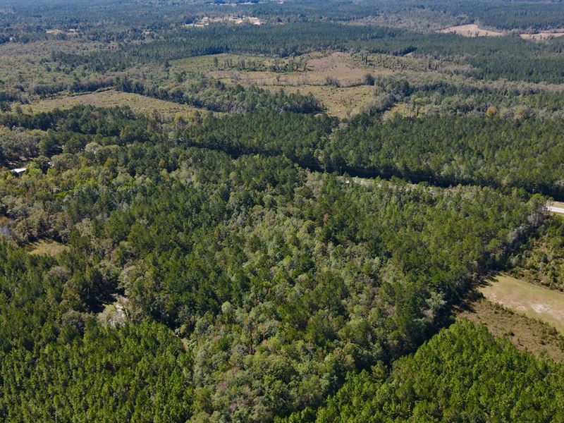 Fruitdale Highway 45 Homesite 4 : Fruitdale : Washington County : Alabama