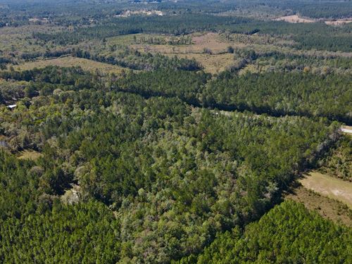 Fruitdale Highway 45 Homesite 4 : Fruitdale : Washington County : Alabama