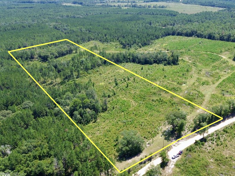 Louella Road Mini-Farm : McIntosh : Washington County : Alabama