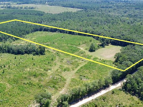 Louella Road Mini-Farm : McIntosh : Washington County : Alabama