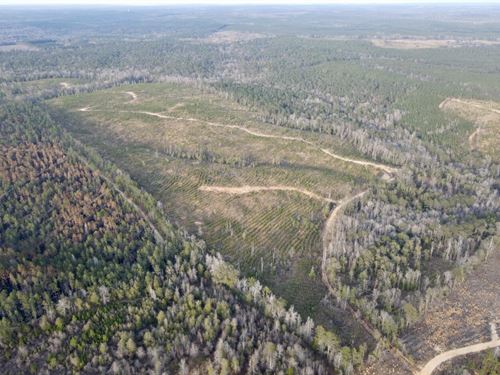 The Rockville Sand Hill Creek Tract : Rockville : Clarke County : Alabama