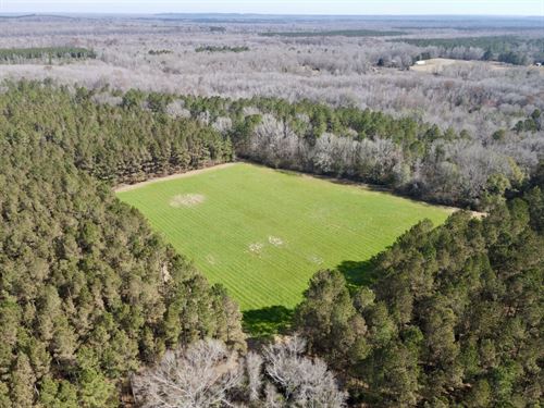 Coy Black Belt Camp Creek Hunting : Coy : Wilcox County : Alabama
