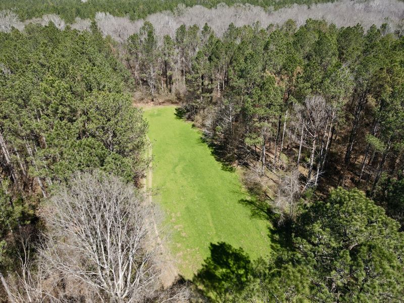 The Hybart Tallatchee Creek Retreat : Vredenburgh : Monroe County : Alabama