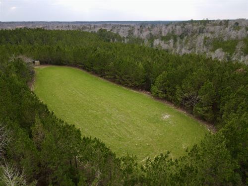 The Cunningham Turkey Creek Tract : Coffeeville : Clarke County : Alabama