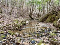 Clarksville Ragtown Road Hunting : Grove Hill : Clarke County : Alabama