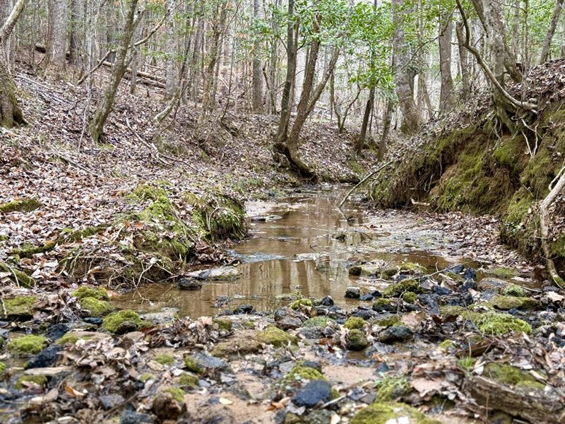 Clarksville Ragtown Road Hunting : Grove Hill : Clarke County : Alabama