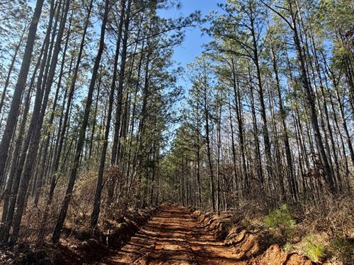The Caledonia Prairie Creek Tract : Pine Apple : Wilcox County : Alabama