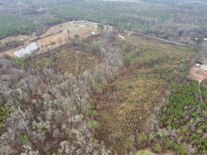 The Sweet Water Nichols Creek Tract : Sweet Water : Marengo County : Alabama