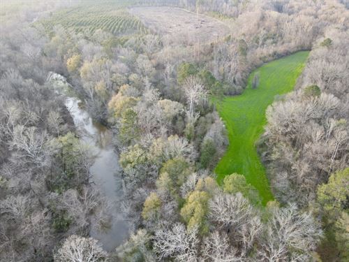 The Black Belt Minter Cedar Creek : Minter : Dallas County : Alabama