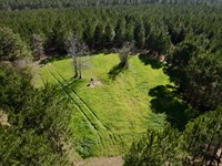 Pine Barren Creek Highway 10 : Greenville : Butler County : Alabama