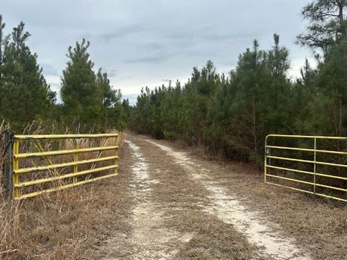 160 Landing Road : Sylvania : Screven County : Georgia