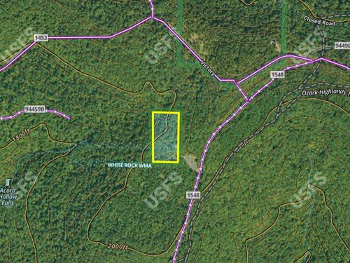 5 Acres Surrounded By The Ozarks : Pettigrew : Johnson County : Arkansas