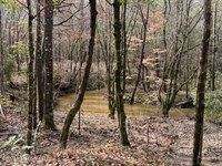 Whispering Timber Haven : Bogue Chitto : Lincoln County : Mississippi