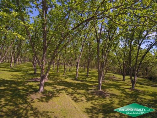11.4 Ac Home Site Tract : Swartz : Ouachita Parish : Louisiana