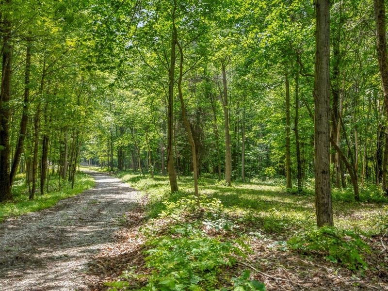 Potts Hill Rd, 59 Acres : Bainbridge : Ross County : Ohio