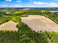 Wolf Branch Farm : Lenox : Berrien County : Georgia