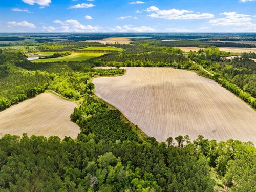 Wolf Branch Farm : Lenox : Berrien County : Georgia