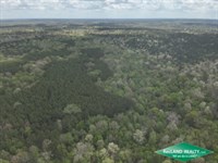 397 Ac Timberland for Home Site : Corrigan : Polk County : Texas