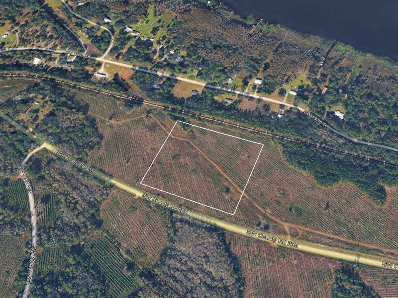 Old Cypress Farms Lot 8 : Starke : Bradford County : Florida