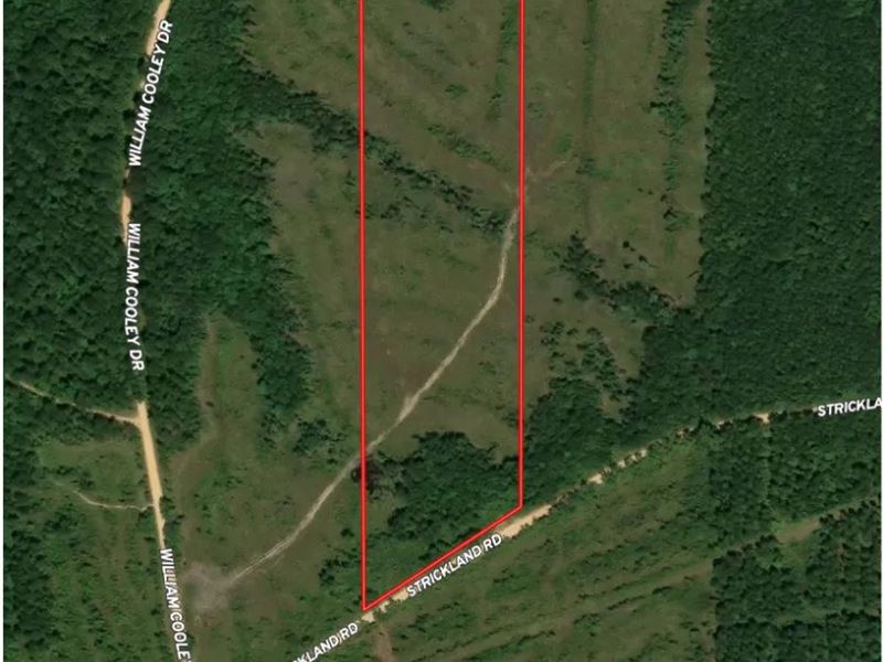 16.08 Acres in Wayne County, MS : Waynesboro : Wayne County : Mississippi