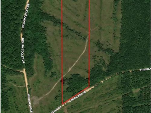 16.08 Acres in Wayne County, MS : Waynesboro : Wayne County : Mississippi