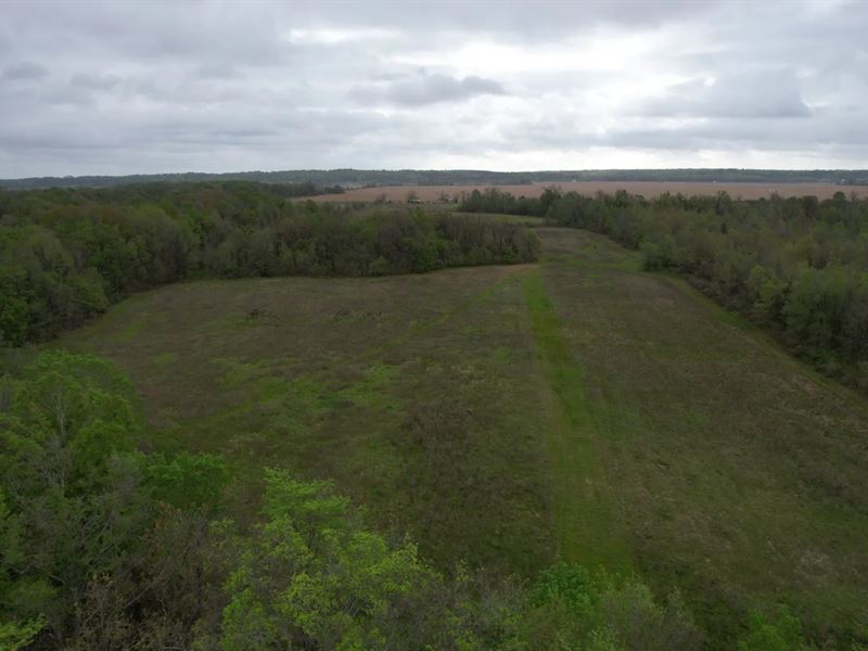 19.6 Acres in Tallahatchie County : Charleston : Tallahatchie County : Mississippi