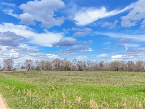 6.5 Acres in The Friendship Com : Tallassee : Elmore County : Alabama