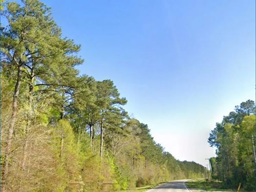 6 Acres in Marion County in Foxwort : Foxworth : Marion County : Mississippi