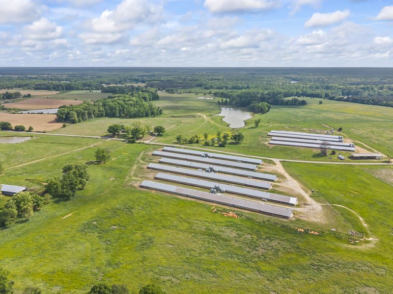 Beautiful 290 Acre Broiler Farm : Canon : Hart County : Georgia