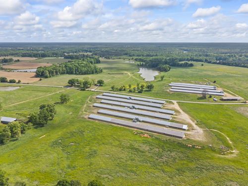 Beautiful 290 Acre Broiler Farm : Canon : Hart County : Georgia