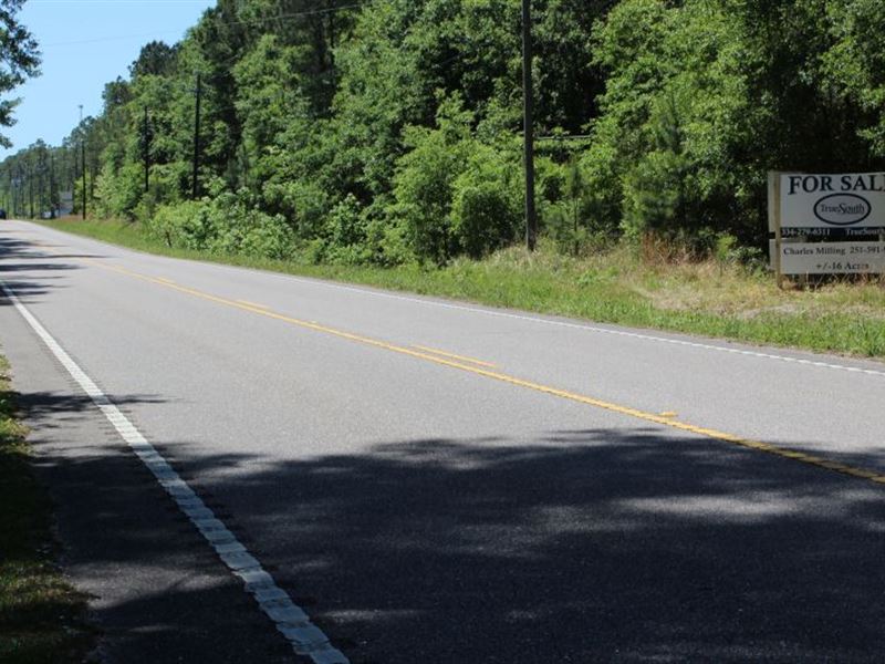 Dauphin Island Parkway Property : Mobile : Mobile County : Alabama