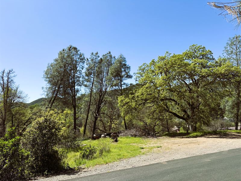1/2 Acre Lot in Clearlake Oaks, CA : Clearlake Oaks : Lake County : California