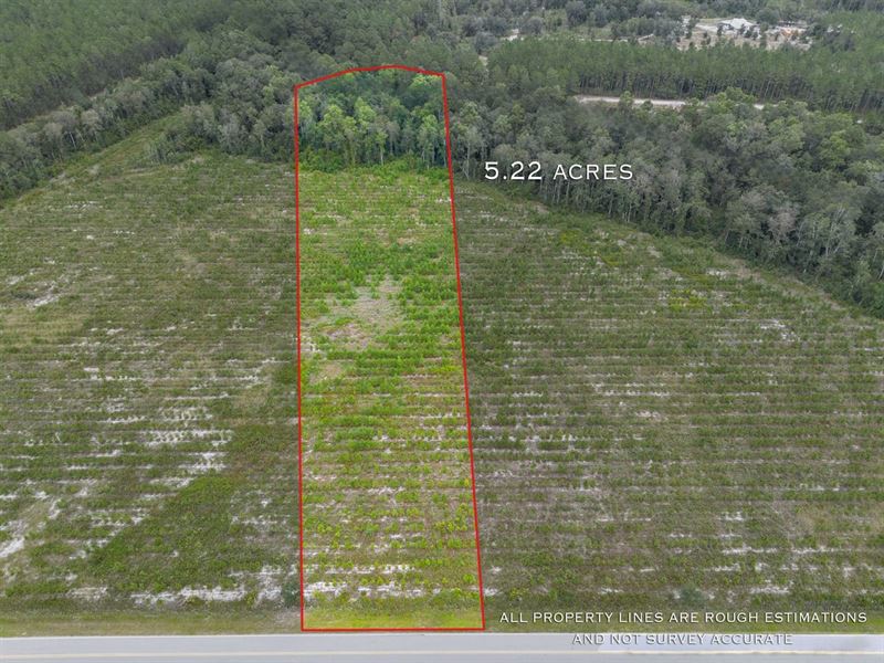 5.22 Acres, Tract 5, River Road : Folkston : Charlton County : Georgia