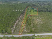 7.13 Acres, Tract 7, River Road : Folkston : Charlton County : Georgia