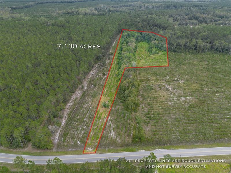 7.13 Acres, Tract 7, River Road : Folkston : Charlton County : Georgia