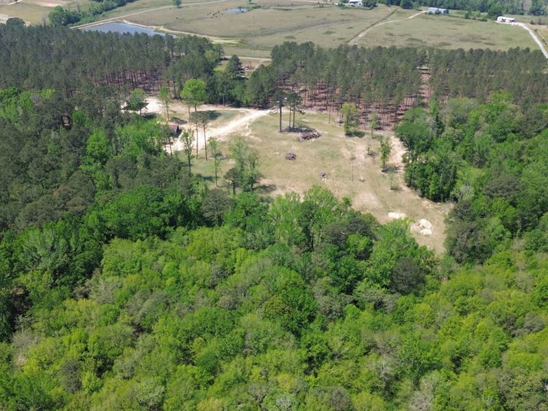 55 Acres Auburn, AL : Auburn : Macon County : Alabama