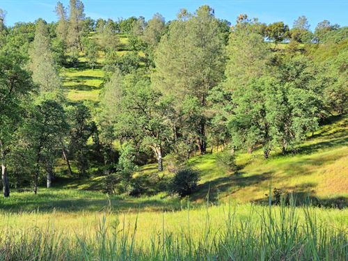 Sierra Vista Estate : Coulterville : Mariposa County : California