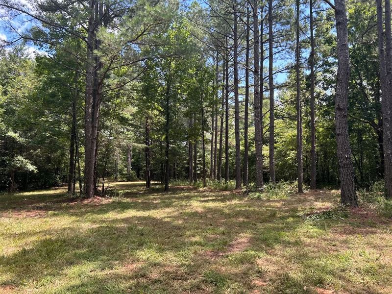 262.37 Acres in Benton County, MS : Ashland : Benton County : Mississippi
