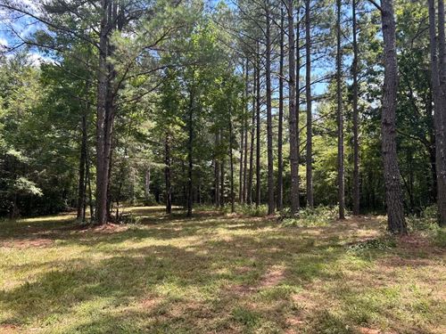 262.37 Acres in Benton County, MS : Ashland : Benton County : Mississippi
