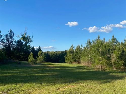 Hunting And Recreational Land : Gloster : Amite County : Mississippi