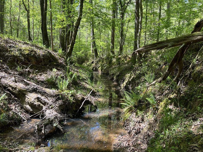 Abbeville Recreational Land : Abbeville : Abbeville County : South Carolina