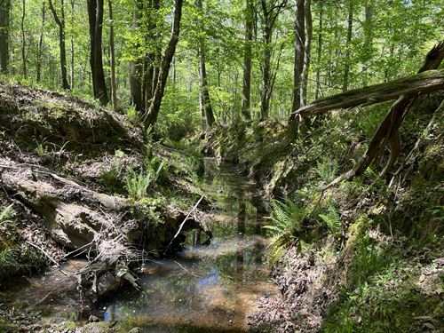 Abbeville Recreational Land : Abbeville : South Carolina