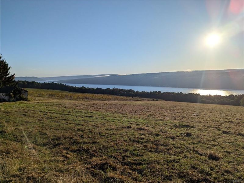 16 Pristine Acres Directly Overlook : Urbana : Steuben County : New York