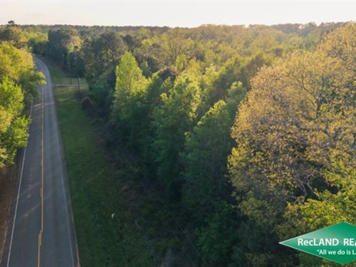 34.2 ac, Timberland for Home Site : Shongaloo : Webster Parish : Louisiana