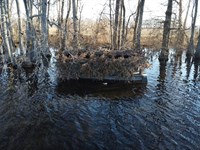 Kiethley Lake 70.17 Acre Duck Hunti : Widener : Saint Francis County : Arkansas