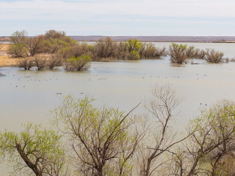 Davis Duck Haven : Crook : Logan County : Colorado